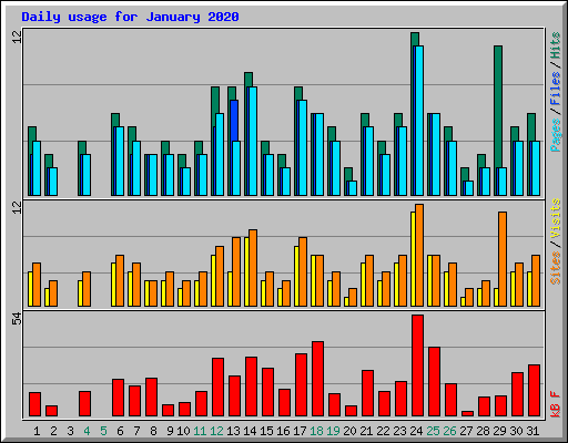 Daily usage for January 2020