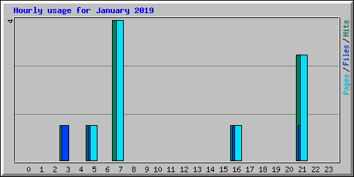 Hourly usage for January 2019