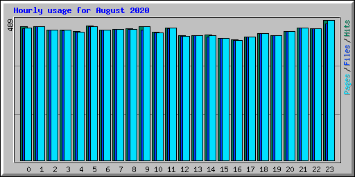 Hourly usage for August 2020