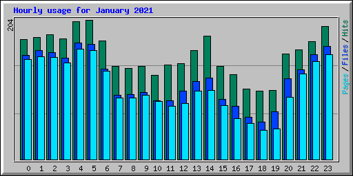 Hourly usage for January 2021