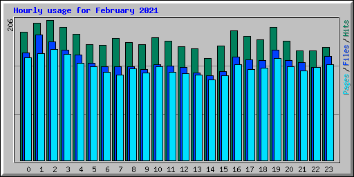 Hourly usage for February 2021