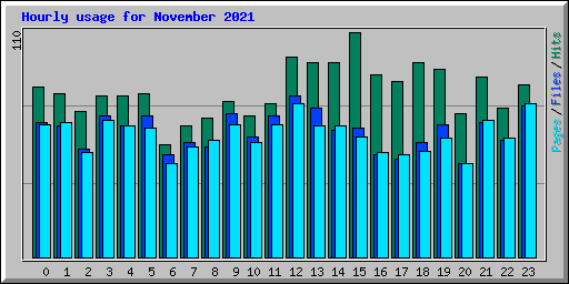 Hourly usage for November 2021