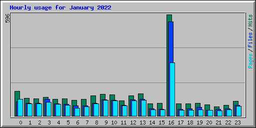 Hourly usage for January 2022