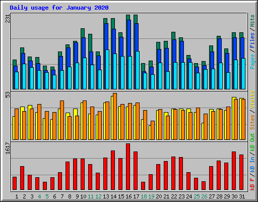 Daily usage for January 2020