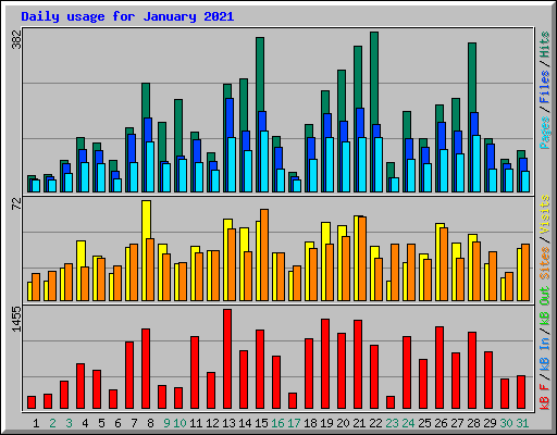 Daily usage for January 2021