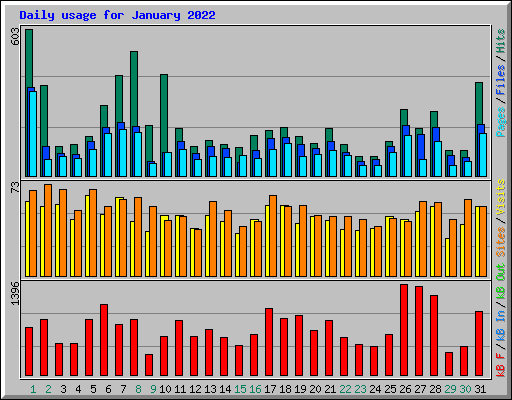Daily usage for January 2022