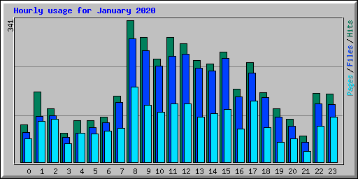 Hourly usage for January 2020