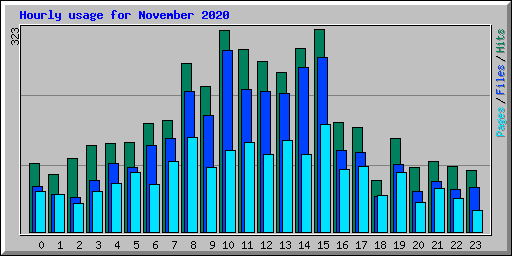 Hourly usage for November 2020