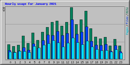Hourly usage for January 2021