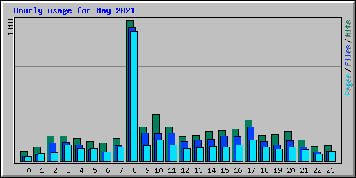 Hourly usage for May 2021