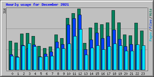 Hourly usage for December 2021